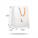 Shopping bag "L" portrait (width 300 x depth 100 x height 400mm), 2/0, outer side printed